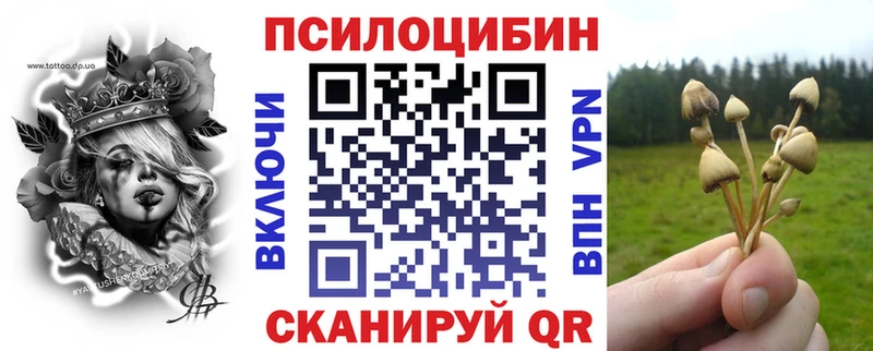 купить закладку  Краснодар  Псилоцибиновые грибы мухоморы 